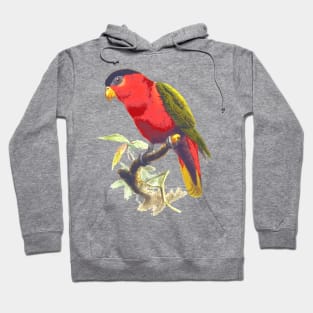 Parrot. Hoodie